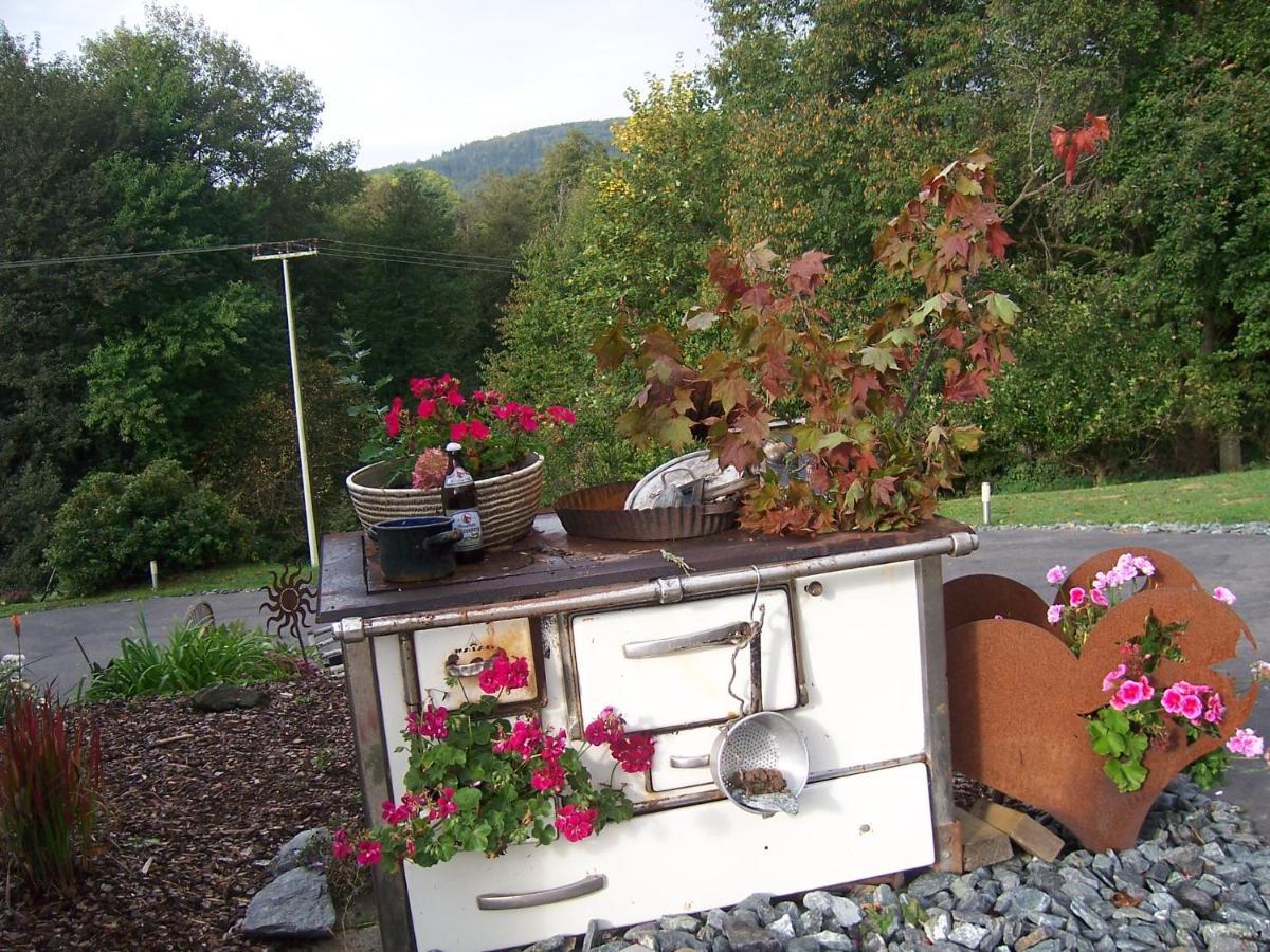 Ferienoase Im Zottbachtal Appartement Pleystein Buitenkant foto